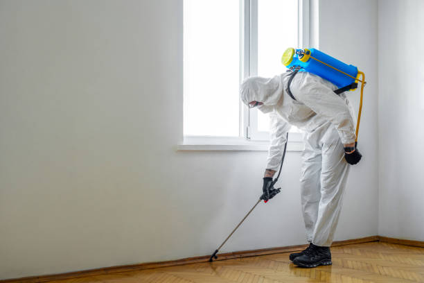 Best Residential Pest Control  in Baywood, NY